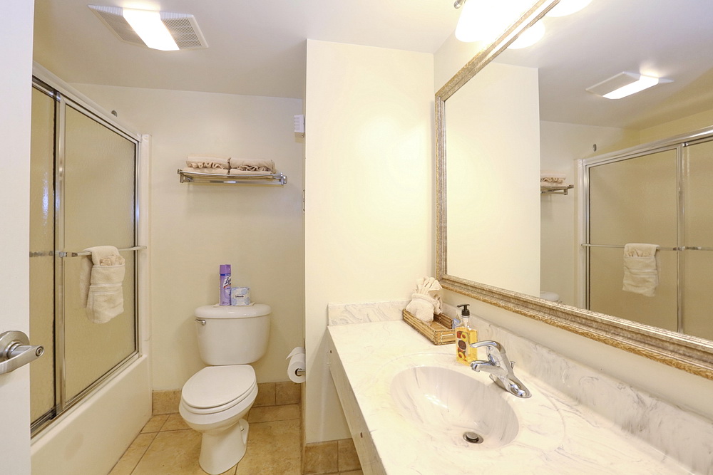 Garden View King Bathroom