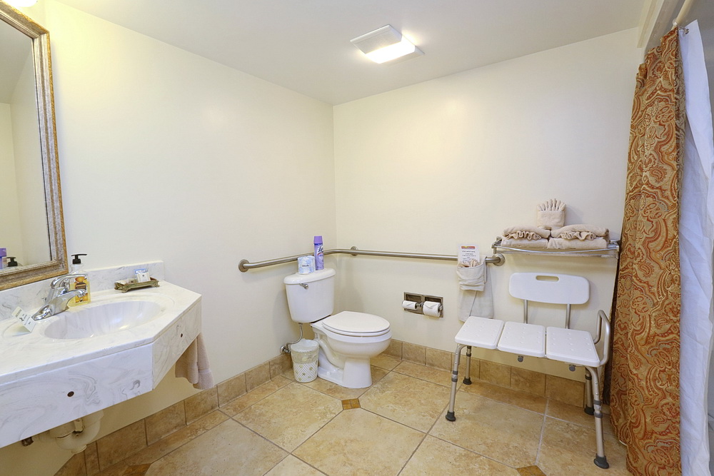 Garden View Handicap Accessible Room Bathroom