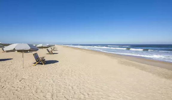 Lounge chairs and umbrellas on beach